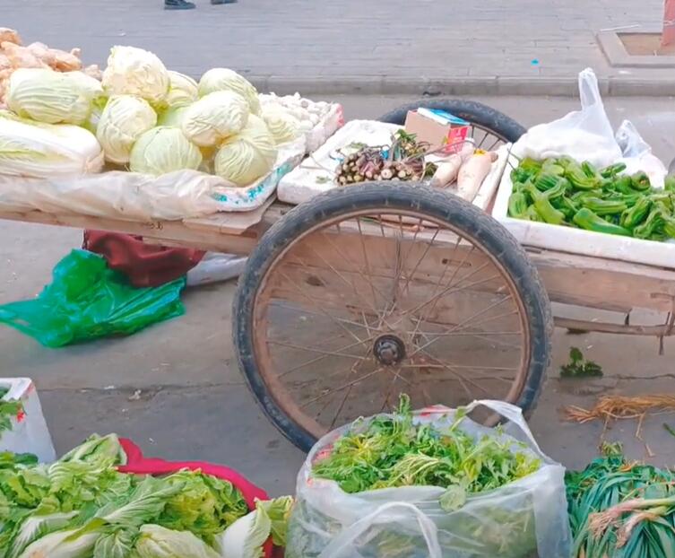 府河镇各种蔬菜