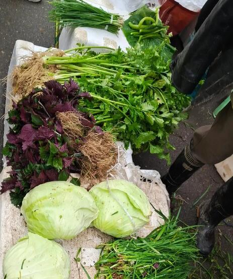 龙溪铺镇集市上的绿色蔬菜