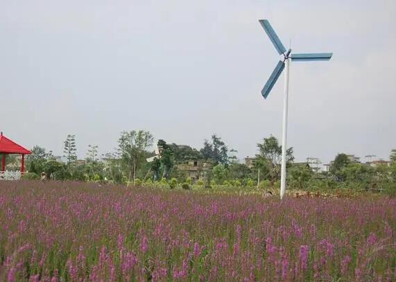 花都香草世界