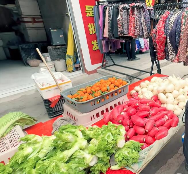 黄金镇新鲜蔬菜，儿菜、萝卜