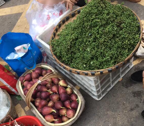 永兴无花果和青花椒