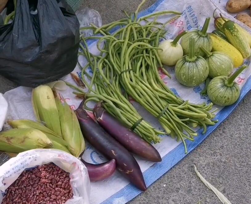 摩尼镇集市上的新鲜蔬菜玉米、茄子、豇豆、南瓜等