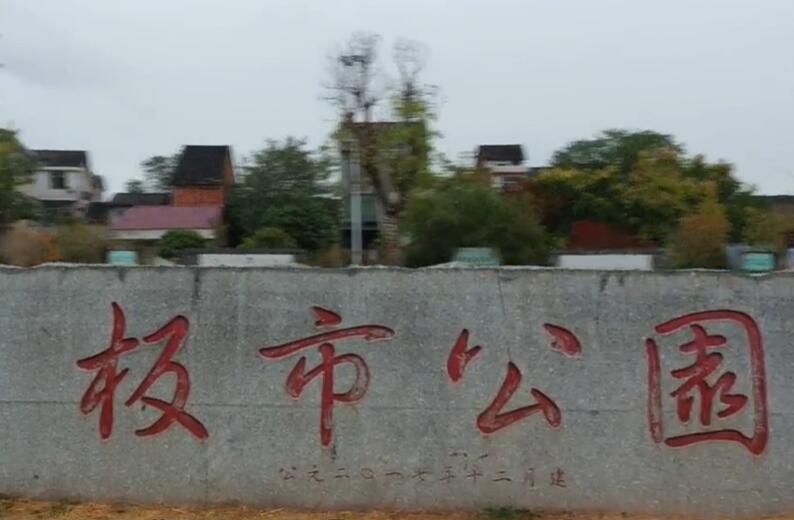 板市乡