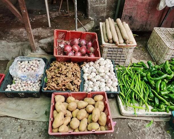 成佳镇新鲜的蔬菜土豆、辣椒、大蒜、洋葱、生姜等