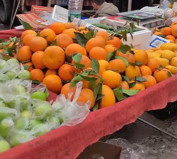 王家坪镇各种水果，枣子、芒果和橘子