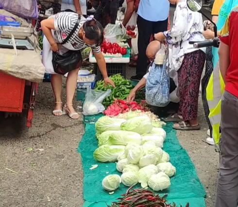 三星堆镇集市上的蔬菜白菜、包菜和辣椒