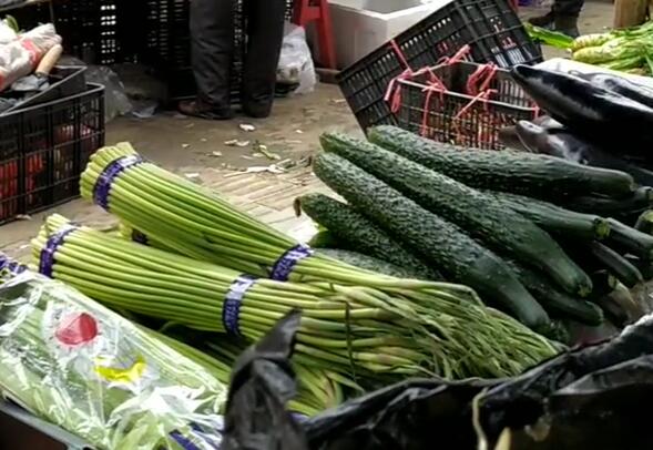 永宁镇新鲜蔬菜，蒜苔和黄瓜