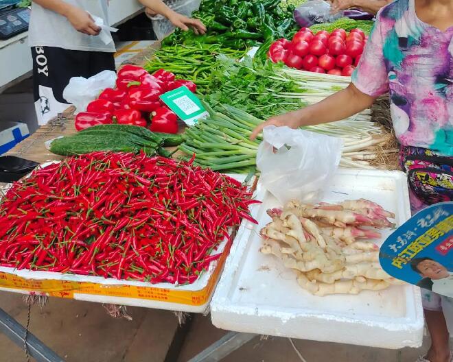 史家镇集市上的新鲜蔬菜，小米椒、黄瓜、甜椒和西红柿等