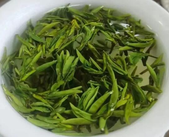 木鱼镇七佛贡茶