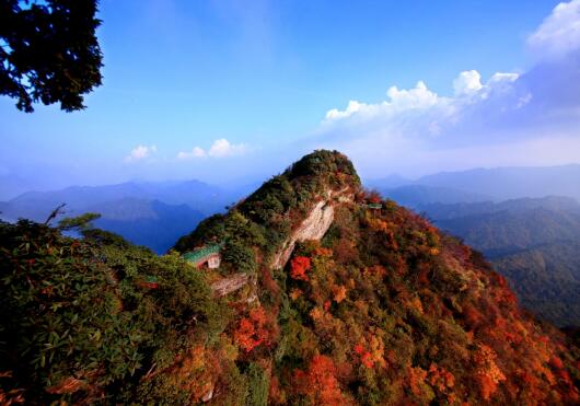 南江县米仓山国家森林公园