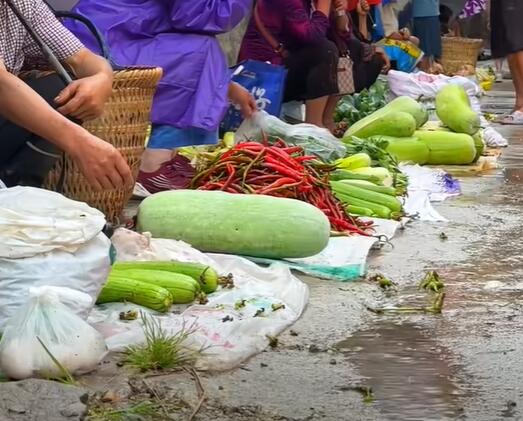 洋溪镇各种各样的蔬菜，丝瓜、冬瓜、辣椒等